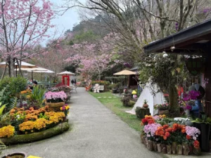 碧絡角花園咖啡