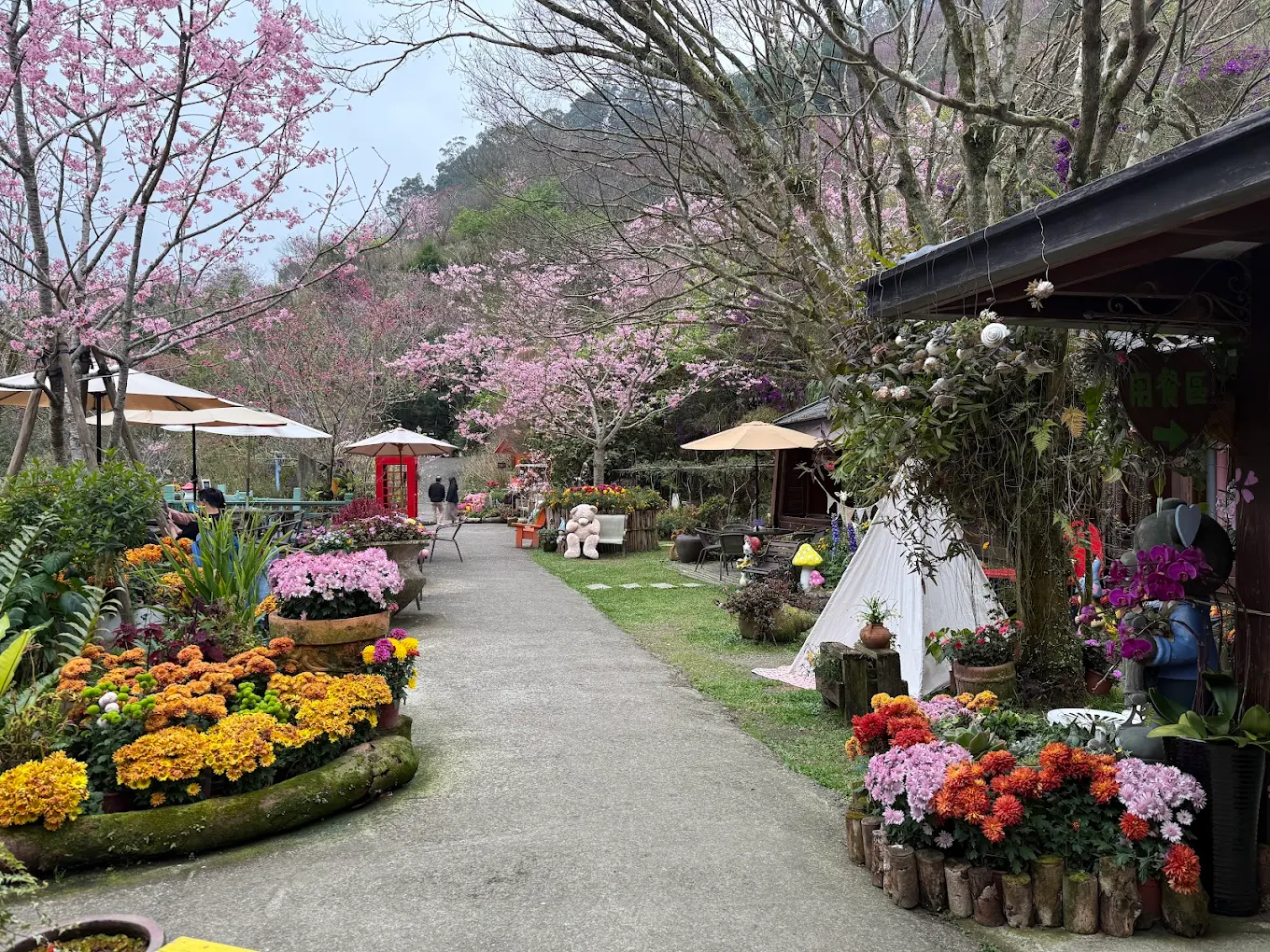 碧絡角花園咖啡